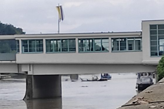 Loď Povodia Váhu odťahuje zachytený strom na Kolonádovom moste