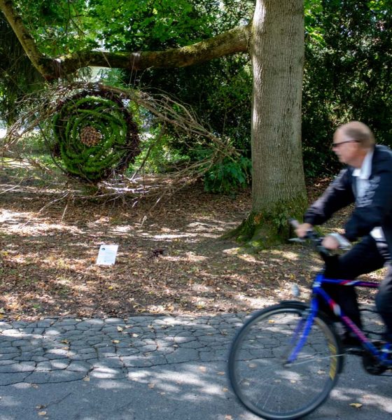 LandArt v Mestskom parku Piešťany, ktorý vytvorila Karolina Ladyzynska Skrzypek z Varšavy