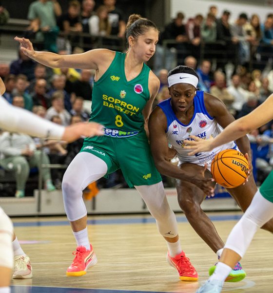 Basketbal Piešťanské Čajky vs Šopron Basket - Eurocup