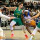 Basketbal Piešťanské Čajky vs Šopron Basket - Eurocup