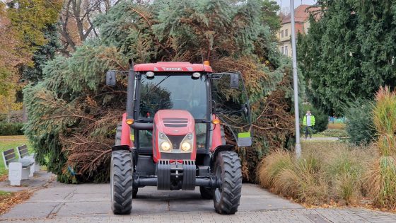 Vianočný strom pre Mesto Piešťany tento rok priviezli zo Šúroviec