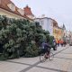 Vianočný strom pre Mesto Piešťany tento rok priviezli zo Šúroviec