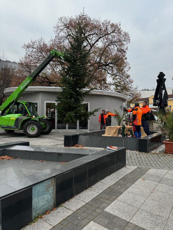 Pracovníci SMP osádzajú vianočný strom na Námestí slobody