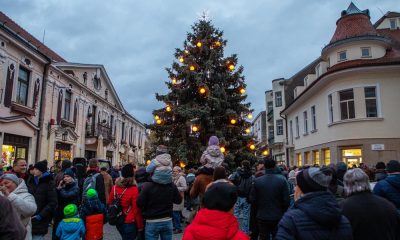 Piešťanské Vianočné trhy 2024 otvorenie - Winterova ulica rozsvietenie vianočného stromček