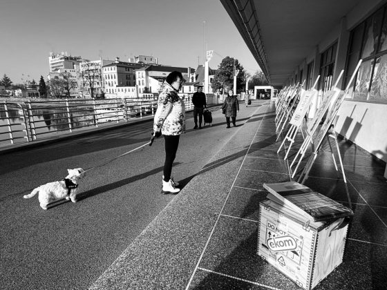 Výstava fotografií zamestnancov spoločnosti Ekom z Piešťan na Kolonádovom moste. Autorom portrétov je Igor Šaffo