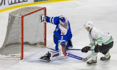 Tipos Slovenská hokejová liga – JOJ ŠPORT Slovensko 18 : HK Skalica – 1:9 16.1.2025 Zimný štadión Piešťany